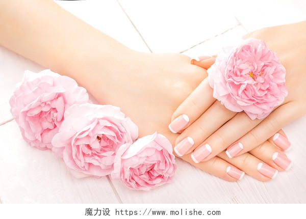 美丽法式美甲和粉红色的玫瑰花朵